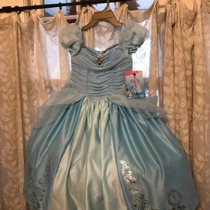 Disney Princess Dress-Up Dress